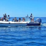Benagil Caves Visit with Dolphins Watching from Albufeira - Who Will Love This Tour?