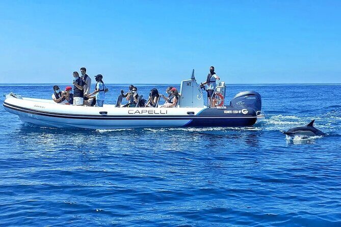 Benagil Caves Visit with Dolphins Watching from Albufeira - Who Will Love This Tour?