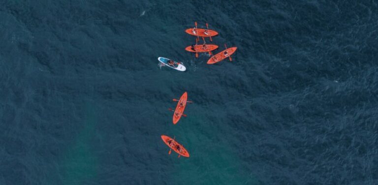 Benagil: Kayak Adventure - Authentic Experiences and Genuine Highlights