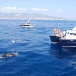 Benalmádena: Catamaran Cruise with Drinks and Swim Stop - The Experience from Start to Finish
