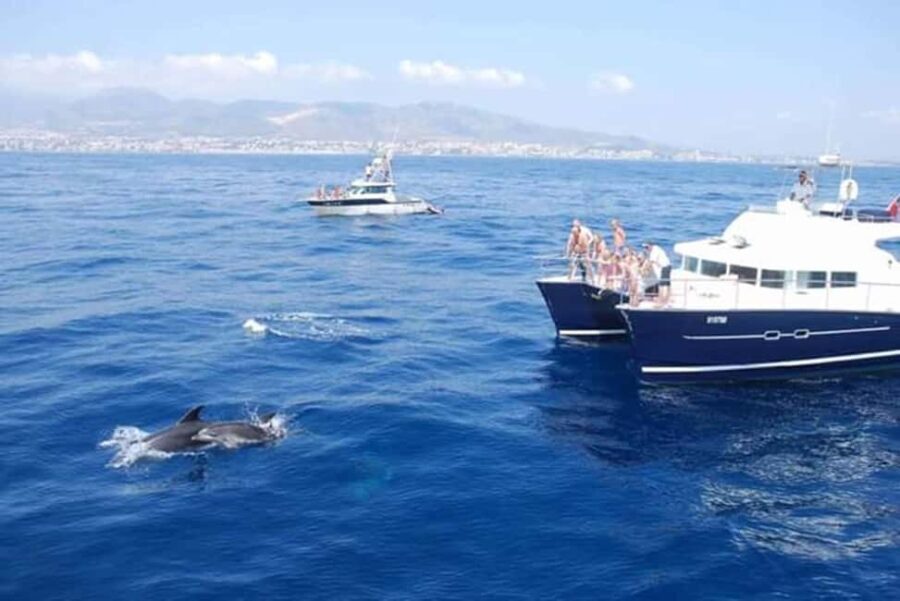 Benalmádena: Catamaran Cruise with Drinks and Swim Stop - The Experience from Start to Finish