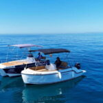 Benalmádena: license-Free Rent Boat for Dolphin Watching - Why You Should Consider This Tour
