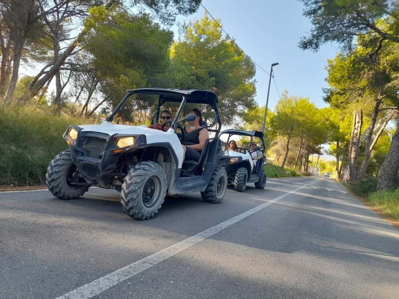 Benidorm: 1h Guided Buggy or Quad Tour with Safety Briefing. - Who Will Love This Experience?