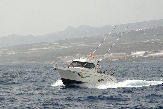 Best Fishing experience in Tenerife island - The Sum Up