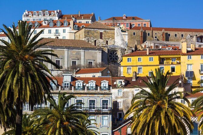 Best of Lisbon Small-Group Guided Walking Tour - What Makes this Tour Special