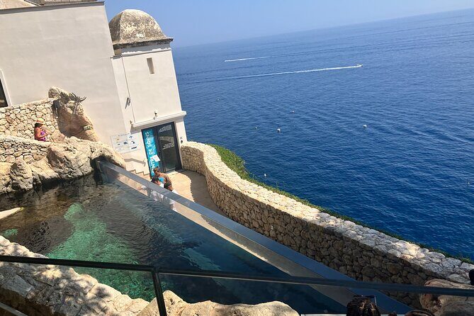 Best of Monaco Private Tour and Outlet Shopping Experience - Authentic Experiences and Real Value