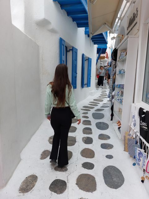 Best of Mykonos island 4 hours private tour - A Deep Dive into the Mykonos Private Tour Experience