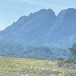 Best of Provence - The Sum Up