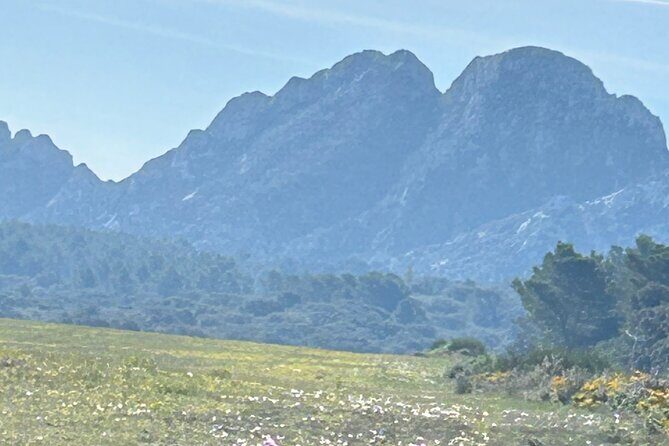 Best of Provence - The Sum Up