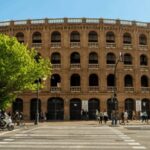 Best of Valencia: Highlights with Private Transport - Value and Practical Tips