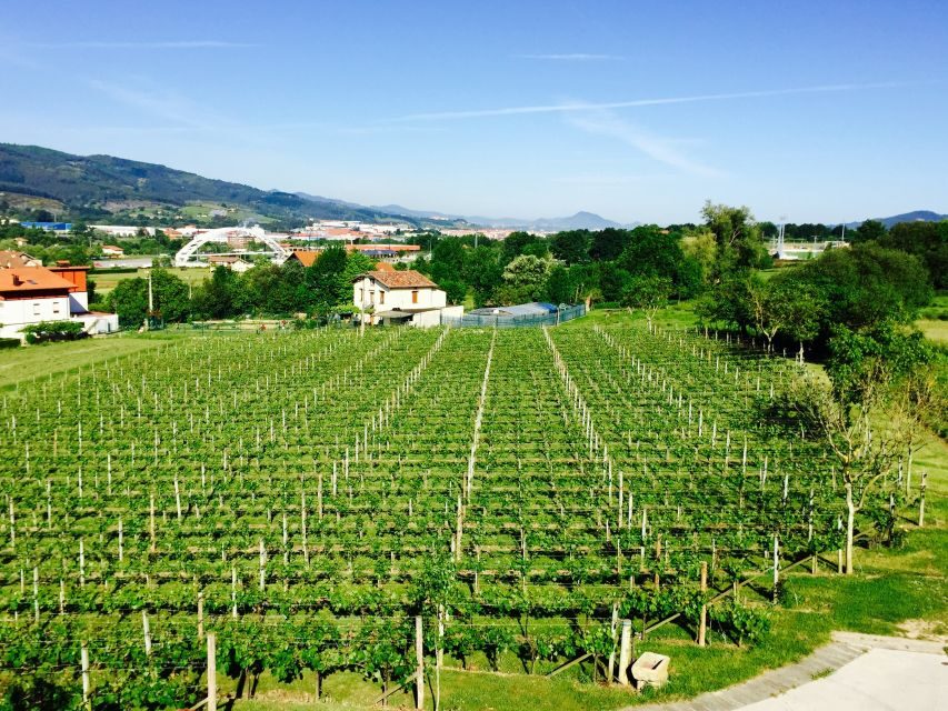 Bilbao: Guided Txacoli Wine Tasting - Exploring the Experience in Detail: What You Can Expect