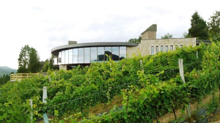 Bilbao: Organic Winery Visit with Tasting - Exploring the Tour: A Deep Dive into Bilbao’s Organic Winery Experience