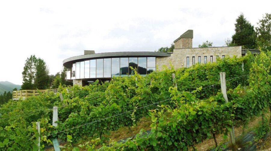 Bilbao: Organic Winery Visit with Tasting - Exploring the Tour: A Deep Dive into Bilbao’s Organic Winery Experience