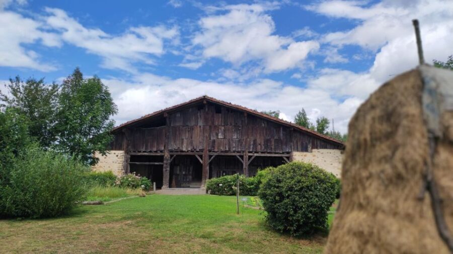 Bilbao: San Sebastian, Getaria, and Basque Farmhouse Tour - Final Thoughts: The Value of a Cultural Snapshot