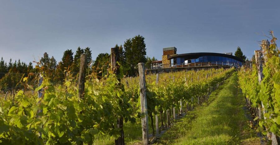 Bilbao Txakoli Wine Tour - What Makes This Tour Stand Out
