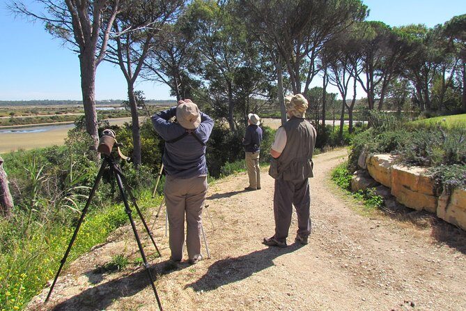 Birdwatching day in the Ria Formosa Natural Park - Why Choose This Tour?