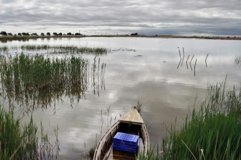 Birdwatching in the Ebro Delta - Exploring the Birdwatching Tour in the Ebro Delta