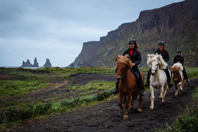 Black Sand Beach Horse Riding Tour from Vik - The Itinerary in Depth