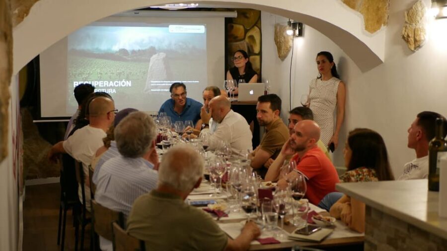 Blind Tasting in Seville - Exploring the Details of the Blind Tasting Experience