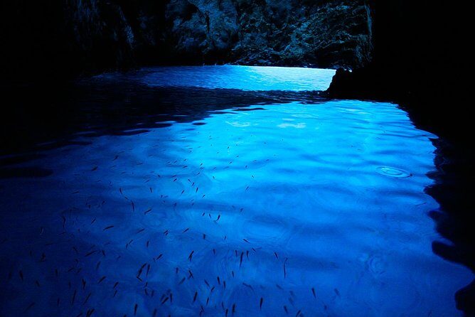 Blue Cave, Blue Lagoon, Hvar island and ShipWreck - private boat tour - Final Thoughts