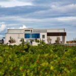 BODEGAS PANDORA: tour through the vineyards and winery with wine tasting. - Who Should Consider This Tour?