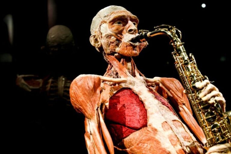 Body Worlds Amsterdam: The Happiness Project Ticket - What Visitors Say: Authentic Perspectives
