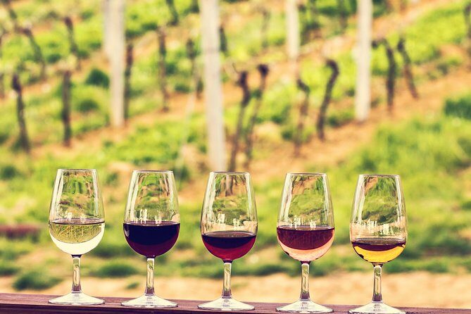 Bordeaux Cruise Port Shore Excursion: Full-Day Private Medoc Wine Tour - Who Should Book This Tour?