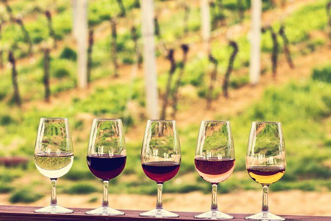 Bordeaux Shore Excursion: Private Bordeaux and St-Emilion Tour - Who Will Love This Tour?