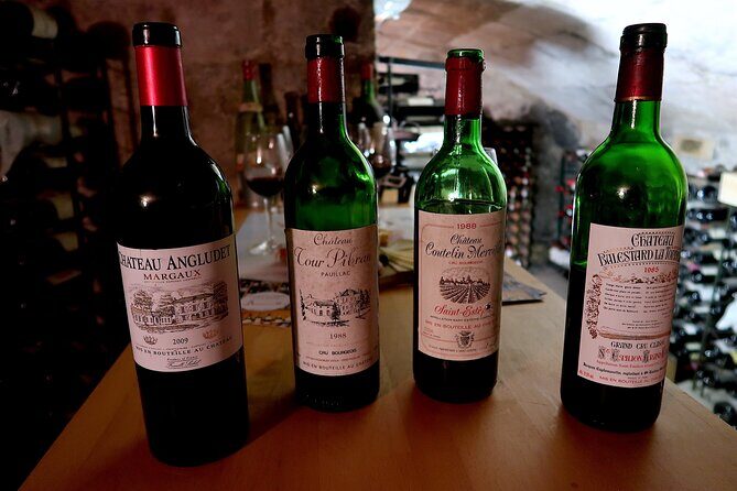 Bordeaux Wine Tasting  Discover Old Vintages - Who Will Love This Tour?