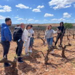 Boutique Rioja Wine Tour with Charming Lunch (From Bilbao) - Why This Tour Stands Out