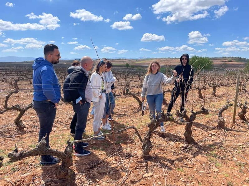 Boutique Rioja Wine Tour with Charming Lunch (From Bilbao) - Why This Tour Stands Out