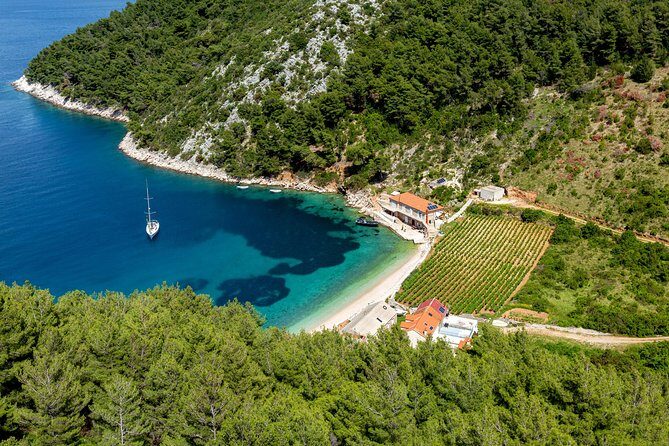 Brac, Hvar, & Solta Day Trip: Snorkeling, Wine & Lunch from Split - Who Will Love This Tour?