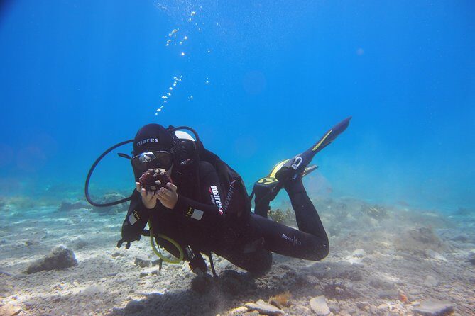 BRELA Bikini Dive *Try SCUBA DIVING* - The Practical Details
