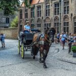 Bruges Full day private trip from Amsterdam - Final Thoughts