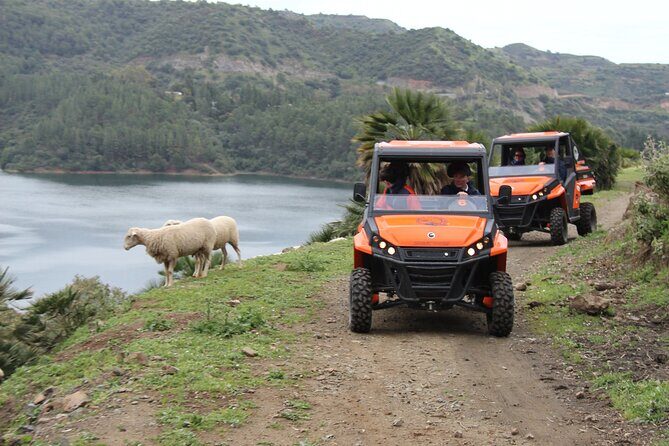 Buggy Adventure with Incredible Views of the Sea and the Reservoir - Final Thoughts: Is This Tour Worth It?