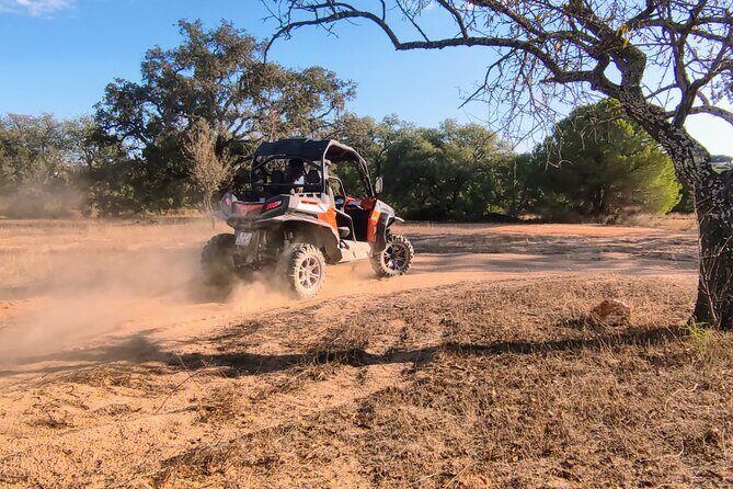 Buggy Expedition - Half-Day Off-Road Guided Tour from Albufeira - A Complete Look at the Buggy Expedition Experience