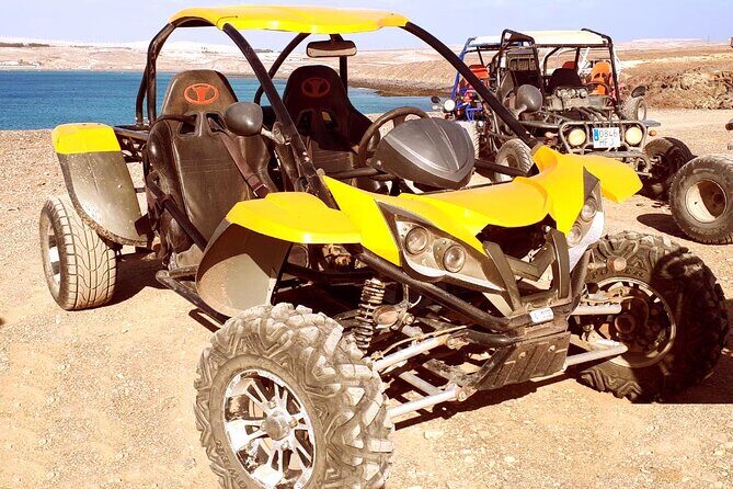 Buggy Safari In Costa Calma - What Travelers Say: Honest Experiences and Tips