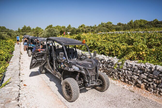 Buggy Safari With Wine Tasting - The Practical Side: Details and Tips