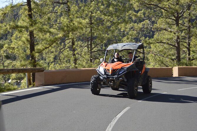 Buggy Tour Volcano Teide in Teide National - Exploring the Details of the Buggy Tour Volcano Teide