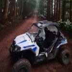 BUGGY TOUR - West / Center of the island (off-road) - Practical Tips for Booking and Participating
