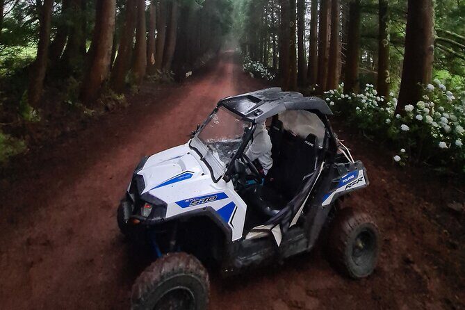 BUGGY TOUR - West / Center of the island (off-road) - Practical Tips for Booking and Participating