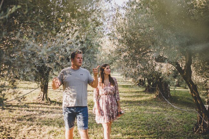 Buje: Authentic Istrian family farm, guided walk, foods & wine - The Art of Olive Oil Making