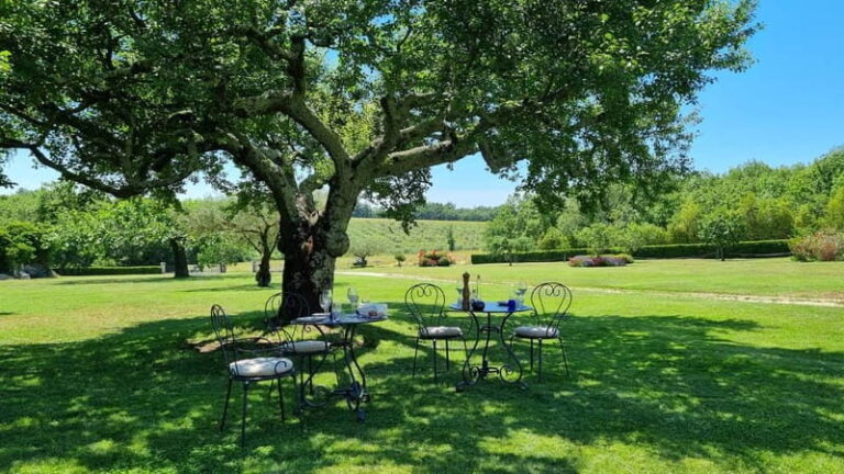 Buje: Istrian Family Farm with Walking Tour, Food, and Wine - Practical Details and Value