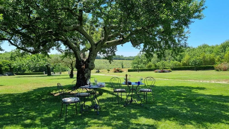 Buje: Istrian Family Farm with Walking Tour, Food, and Wine