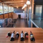 Burgos: Bela Winery - Villalba de Duero - An In-Depth Look at Bela Winery: What to Expect