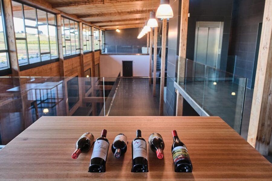 Burgos: Bela Winery - Villalba de Duero - An In-Depth Look at Bela Winery: What to Expect