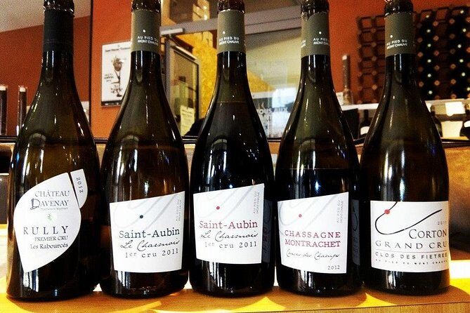 Burgundy Bike Tour with Wine Tasting from Beaune - Who Is This Tour Best For?