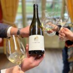 Burgundy Grand Crus Route Day Tour - 14 Wines Tastings in Domains - What to Expect at Each Stop
