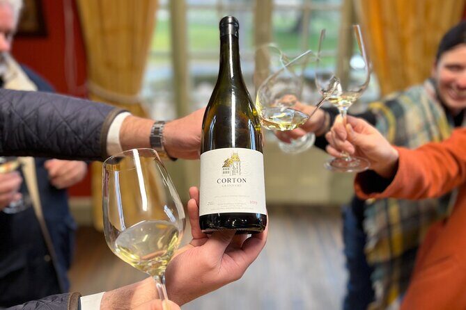 Burgundy Grand Crus Route Day Tour - 14 Wines Tastings in Domains - What to Expect at Each Stop