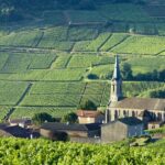 BURGUNDY : Unique Wine Tour from PARIS (Day-trip by TGV - High-speed train) - Why This Tour Offers Great Value